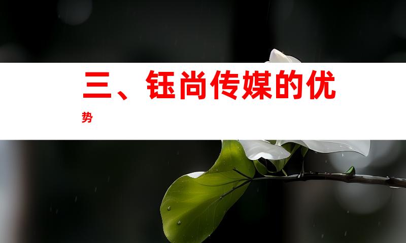 三、钰尚传媒的优势