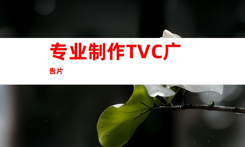 专业制作TVC广告片