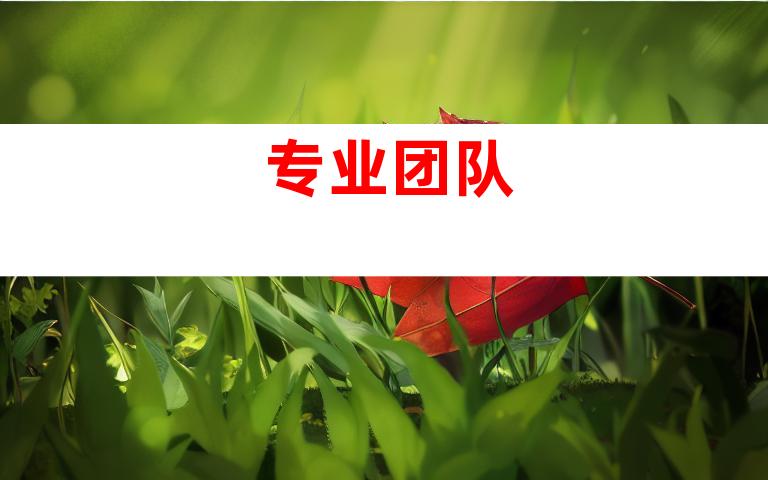 专业团队