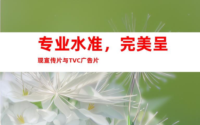 专业水准，完美呈现宣传片与TVC广告片