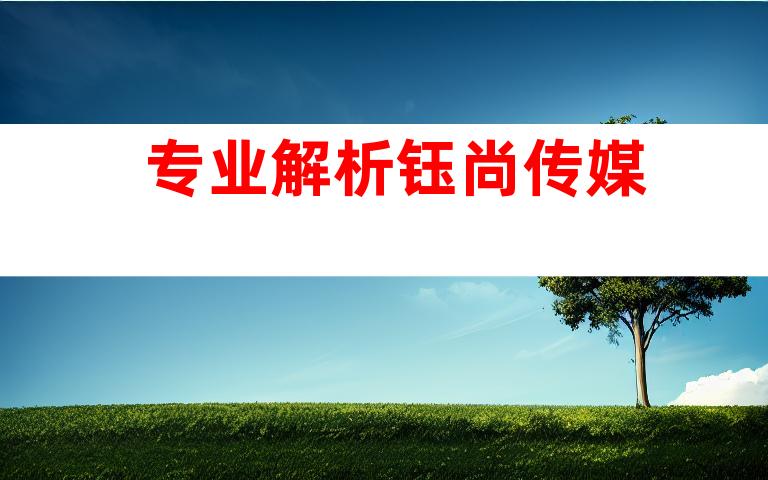 专业解析钰尚传媒