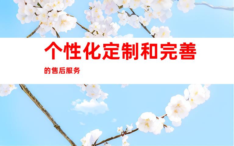 个性化定制和完善的售后服务