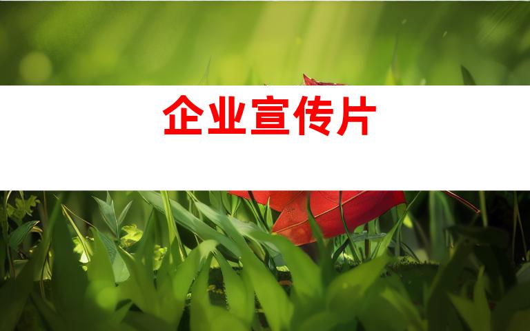 企业宣传片