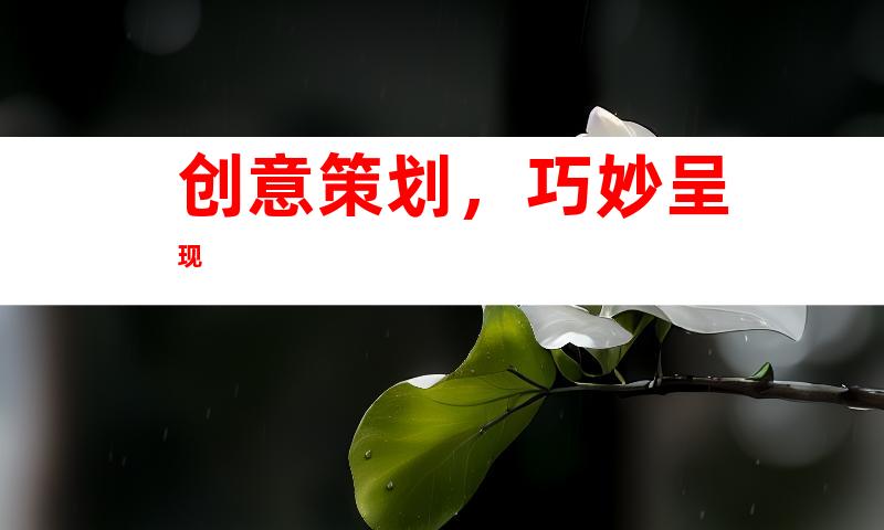 创意策划，巧妙呈现