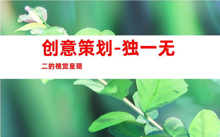 创意策划-独一无二的视觉呈现