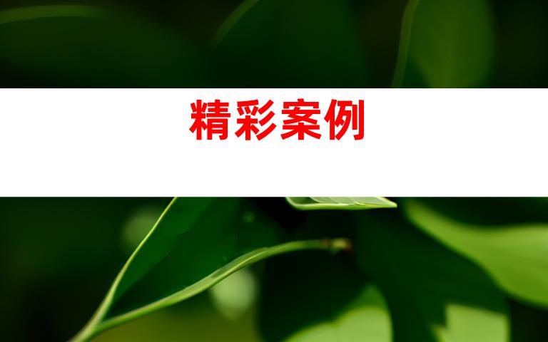 精彩案例