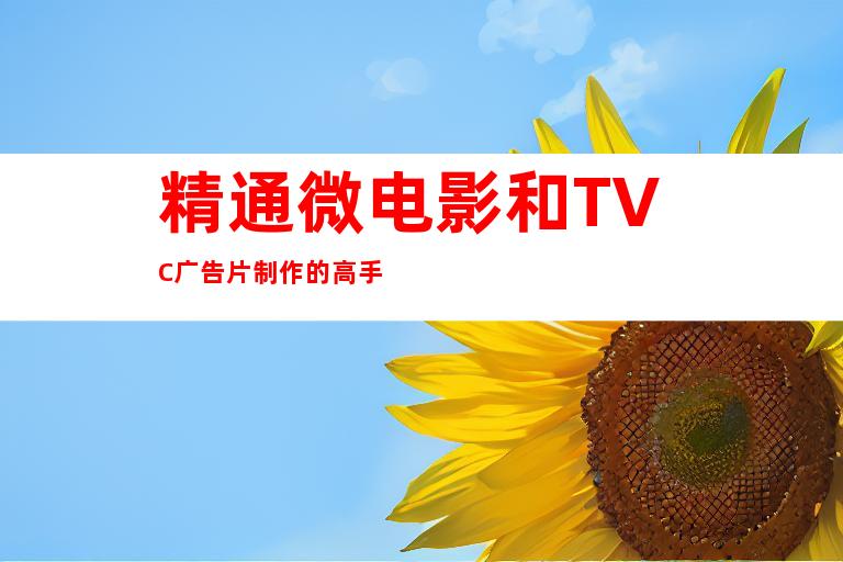 精通微电影和TVC广告片制作的高手