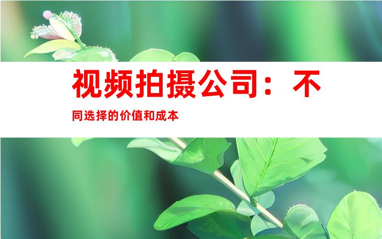 视频拍摄公司：不同选择的价值和成本