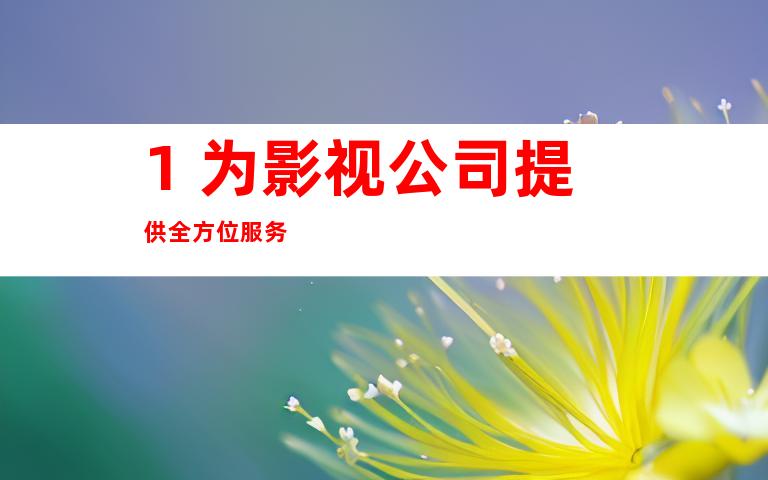 1. 为影视公司提供全方位服务