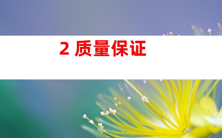 2. 质量保证