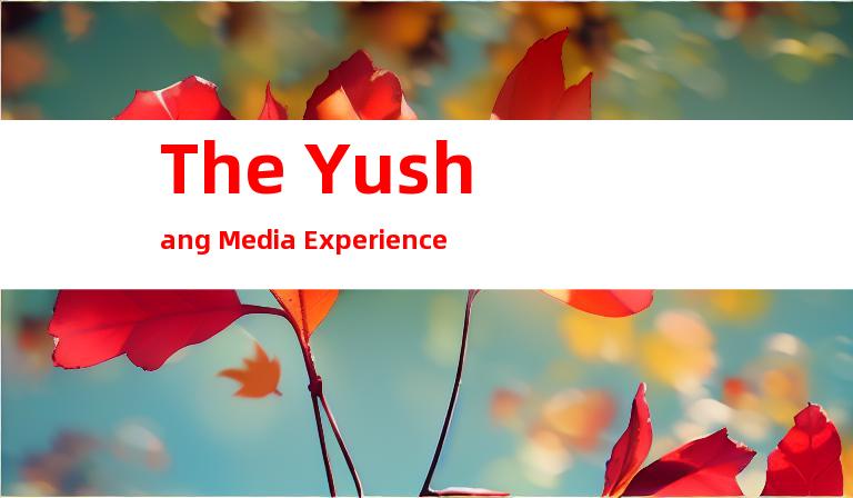 The Yushang Media Experience